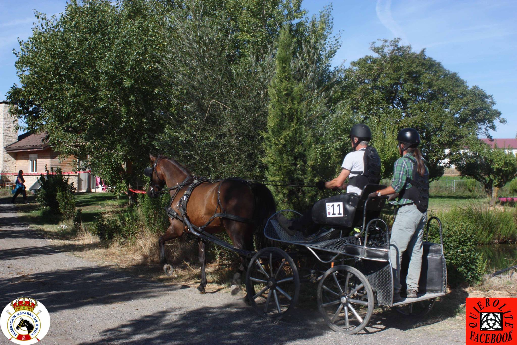 Olite acogió el Campeonato Navarro de Enganches
